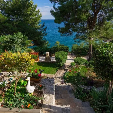 Mateo * Trogir