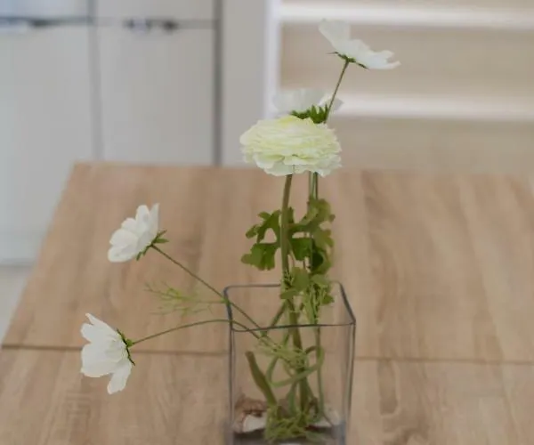 Appartamento Mateo *